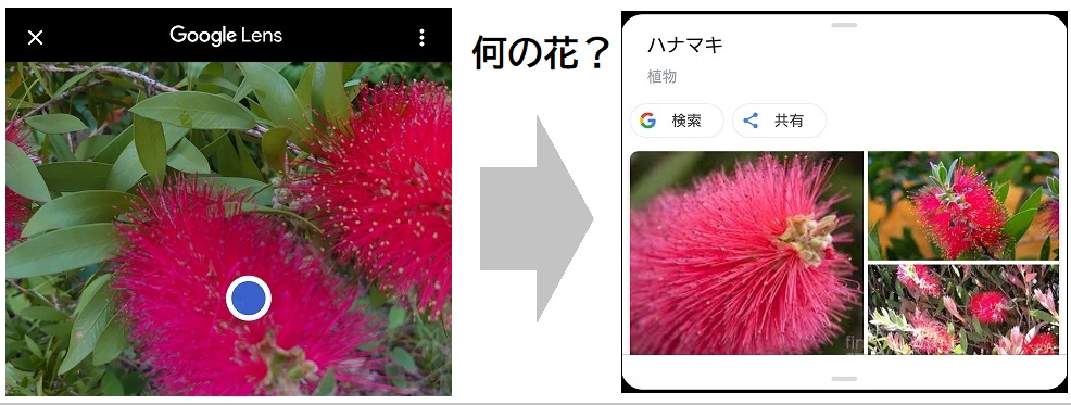 花 の 名前 アプリ
